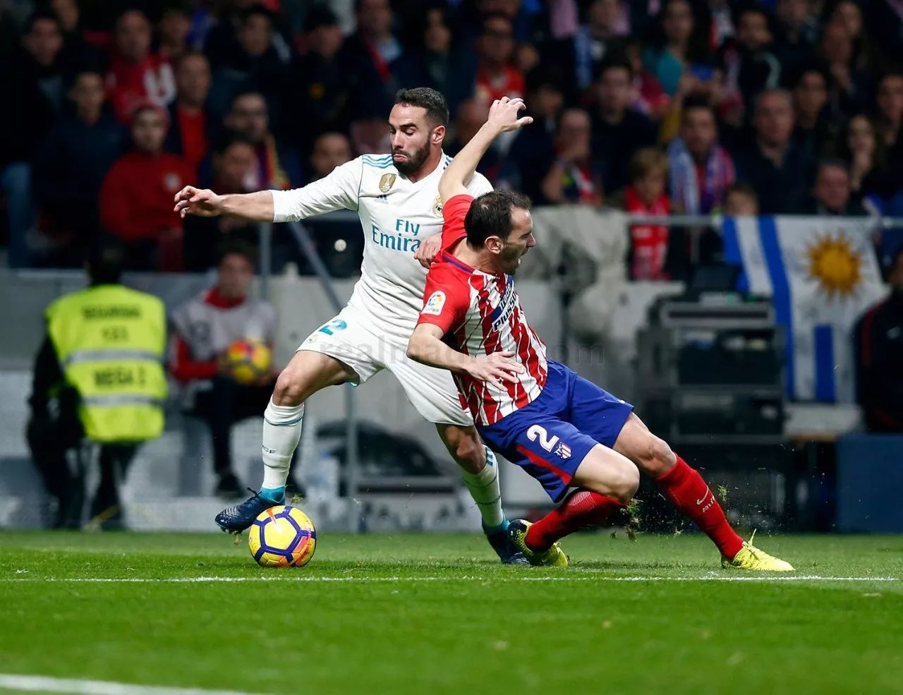 开云（中国）-摩纳哥大奖赛亲子组合